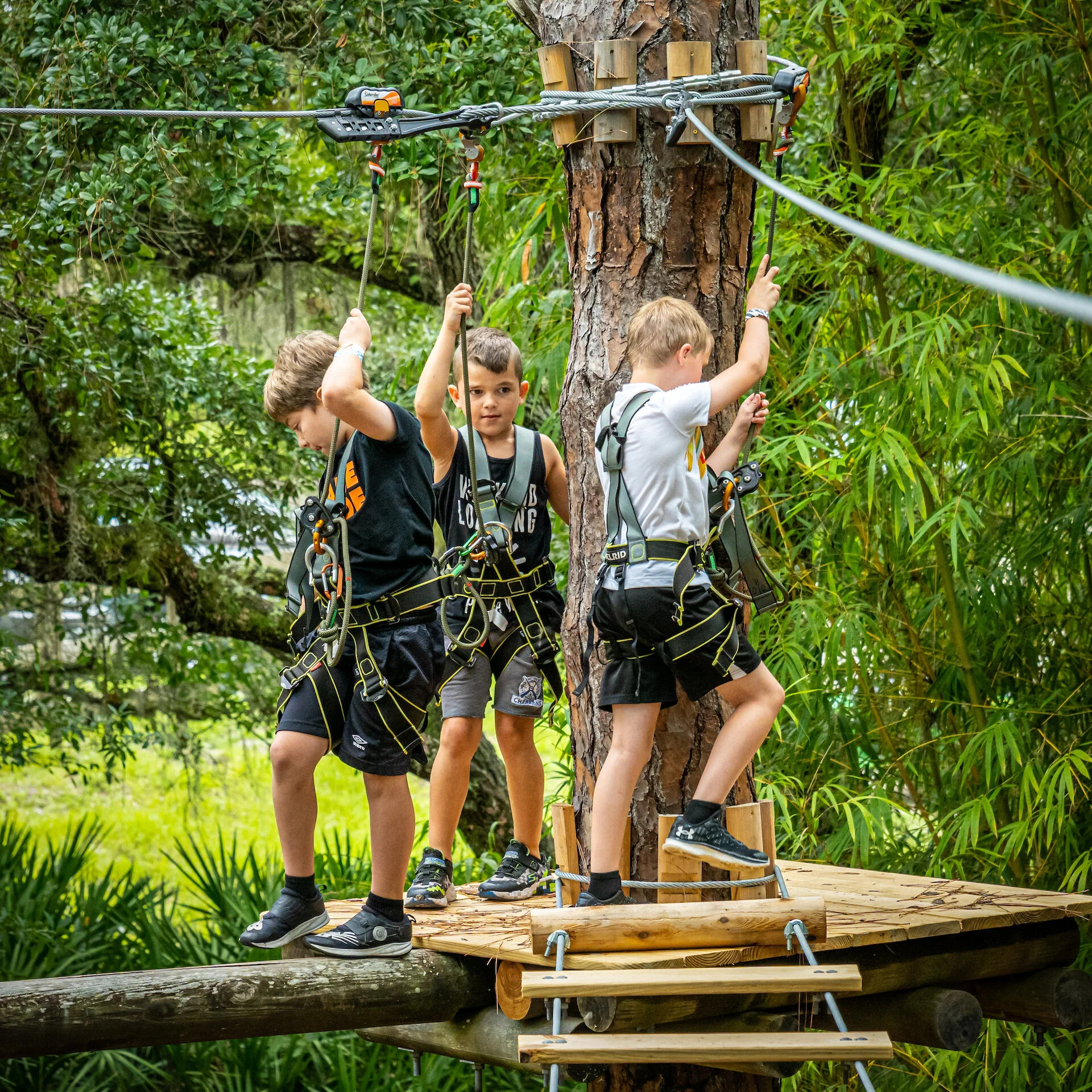 ape-kids-adventure-course-boys